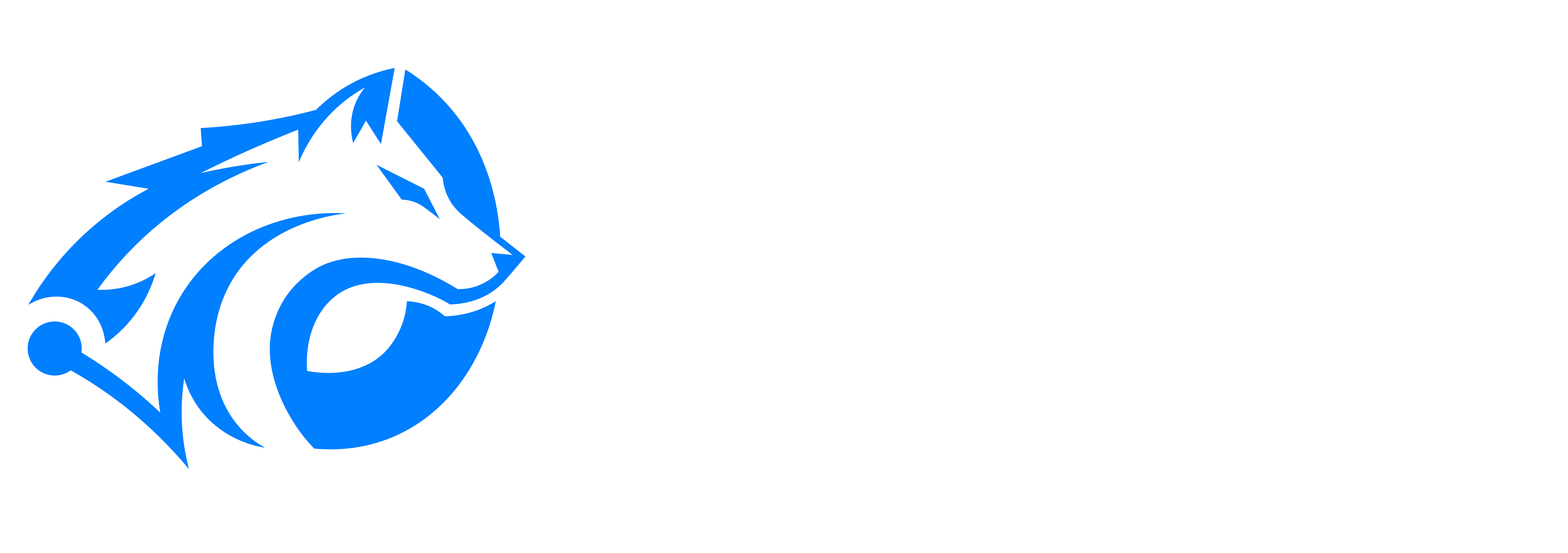 Fenrir Technologies LLC logo